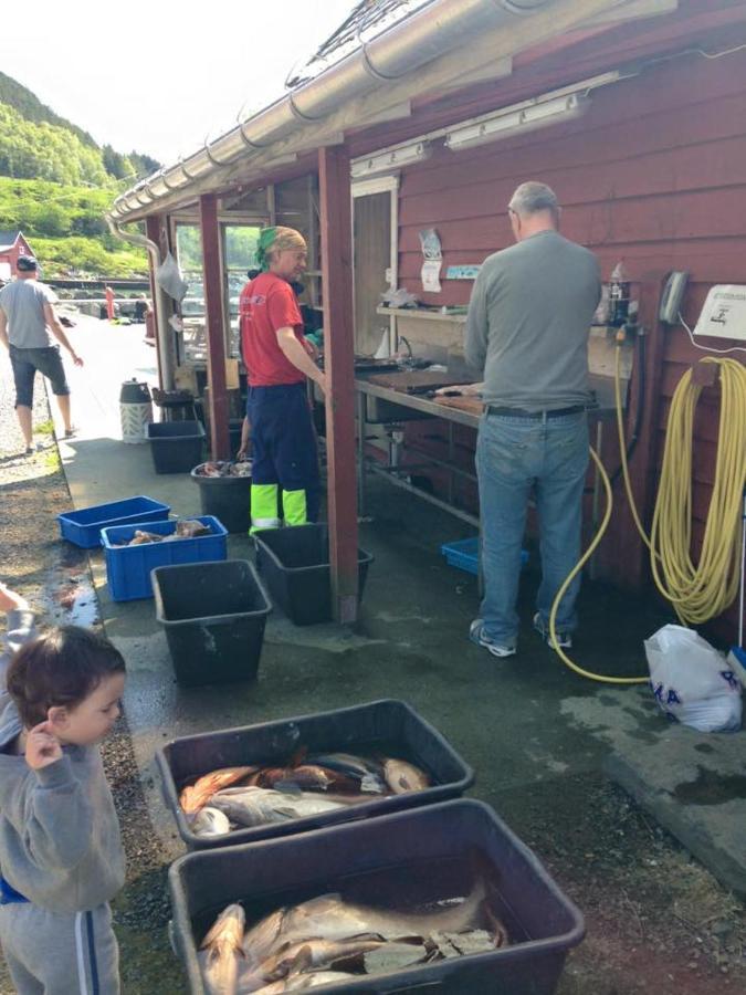 Bakkevik Brygge Lägenhet Kalvåg Exteriör bild