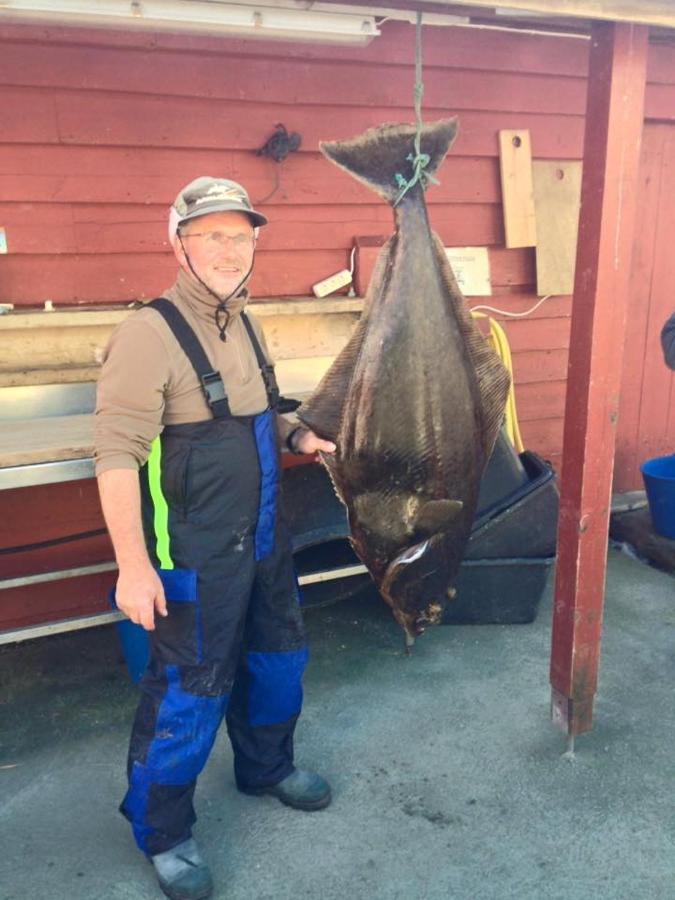 Bakkevik Brygge Lägenhet Kalvåg Exteriör bild